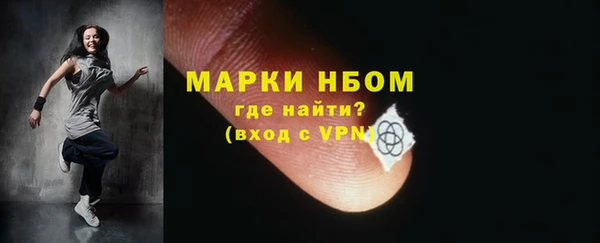 соль ск Богородицк