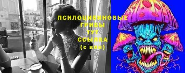 соль ск Богородицк