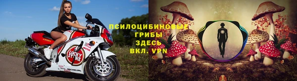 соль ск Богородицк