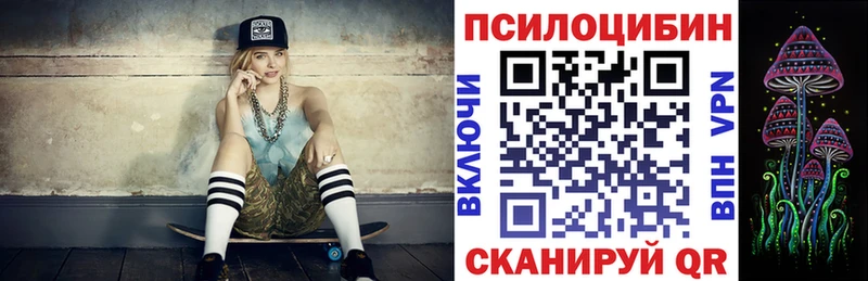Псилоцибиновые грибы Psilocybe  Маркс 