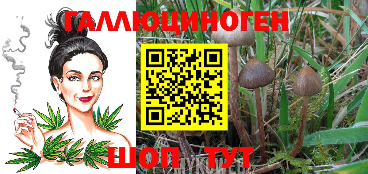 Маркс  Псилоцибиновые грибы GOLDEN TEACHER  Вход с VPN 